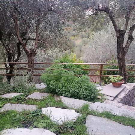 Nonna Paola Guest House Leivi Exterior photo