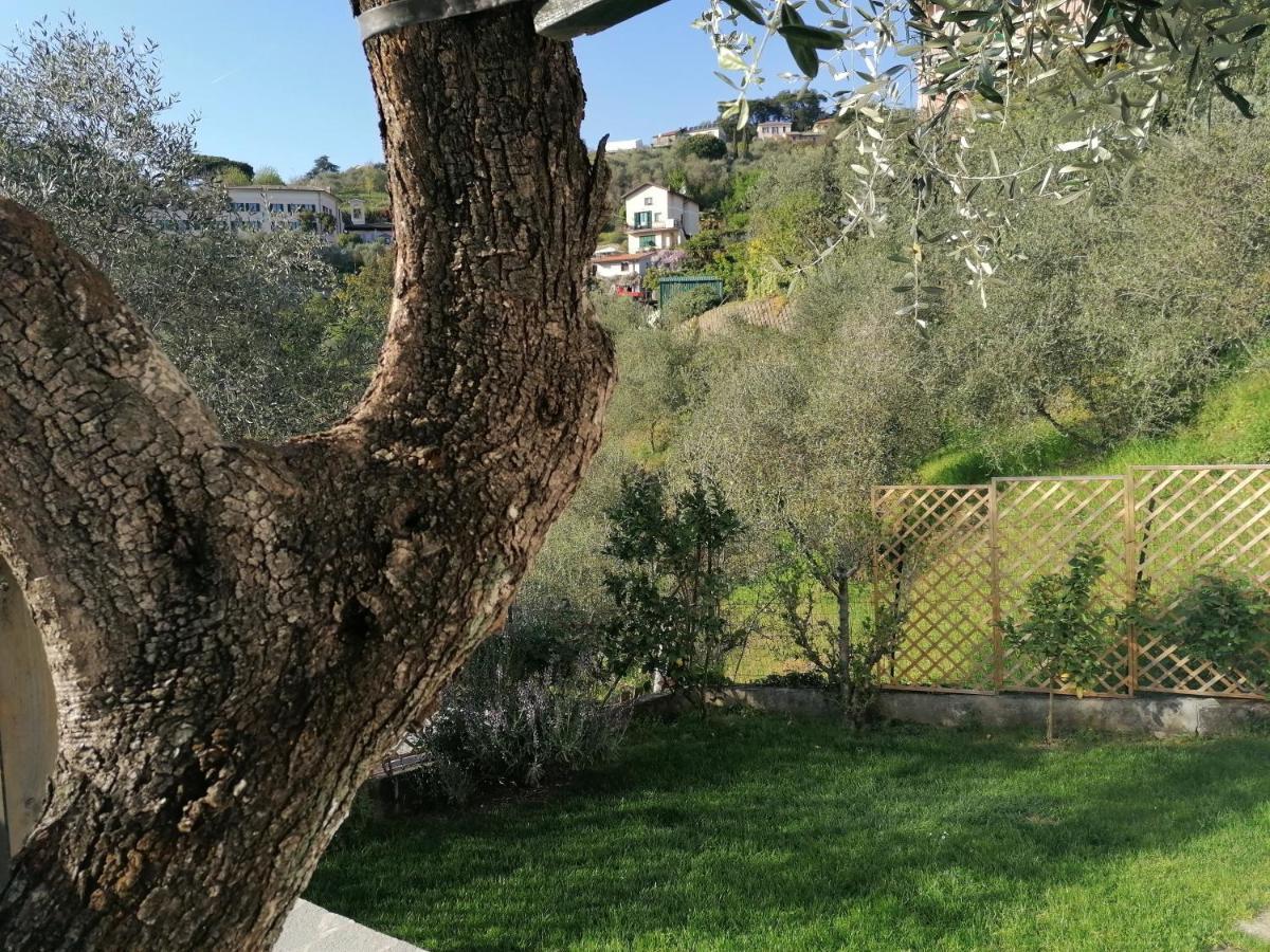 Nonna Paola Guest House Leivi Exterior photo