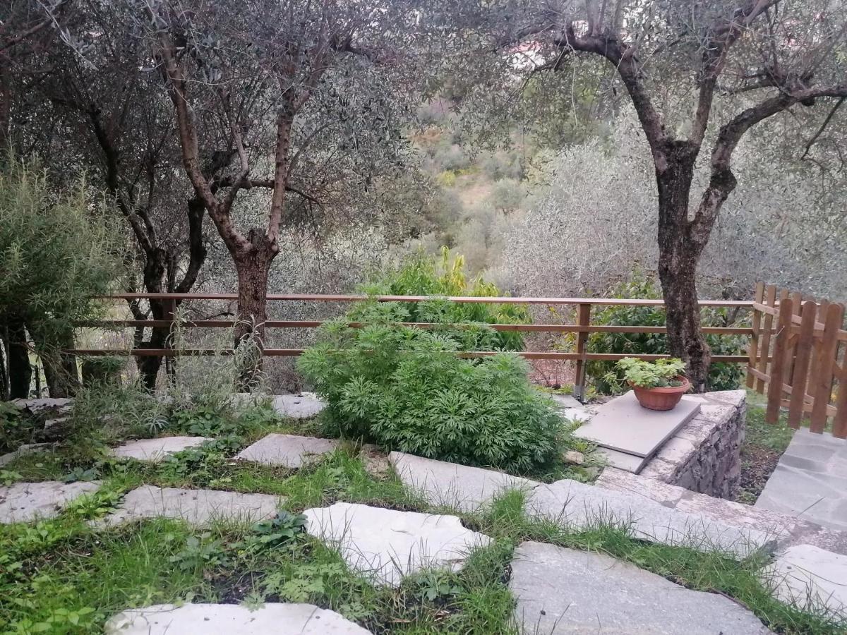 Nonna Paola Guest House Leivi Exterior photo